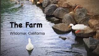 The Farm Community in Wildomar, CA