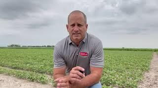 Winfield United TSA Dan Adcock highlights two key CROPLAN Enlist E3 products