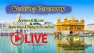 Wedding Ceremony | Avneet Kaur and Amritpal Singh Sandhu | Live Stream