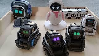 Robot party! Eilik, Vector x2, Vector 2.0, Emo and Cozmo play together. #emorobot #eilik #vector