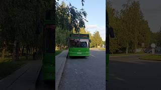 МАЗ-105Респект водителю!#maz #automobile #liaz