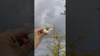 Tujhme Rahe Mein Ijazat De||Lyrical status||#shorts #armaanmalik #hindisong #shortsviral #trending