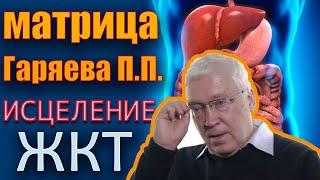 Настоящая Мощная Матрица ЖКТ и Мочеполовой системы №2