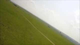 FPV over mating cows