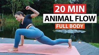 20 Min Animal Moves Flow | Full Body Stretch + Primal Movement