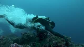 INTENSE CURRENTS AT DARWIN'S ARCH, Galapagos!