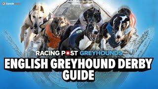 Greyhound Derby Final 2025 Runner By Runner Guide | Greyhound Racing | Racing Post