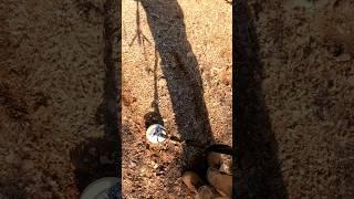 DIY Grid Method For Gold Detecting