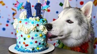 Fluffy Land Cloud Birthday Cake for Dogs ️ DIY Dog Treats