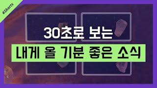 #shorts 30초로 보는 나의 행운 #타로점 #타로카드