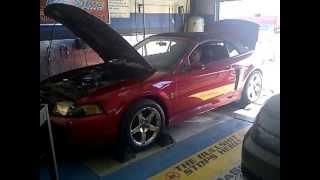 2004 SVT Cobra, on Dyno (with 91octane) @ DaSilva Racing