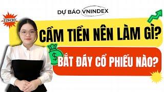 Dự Báo VNIndex: Cầm Tiền Nên Làm Gì? Bắt Đáy Cổ Phiếu Nào?