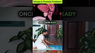 Prostate Pain Relief Exercise #prostateproblems #prostatecare