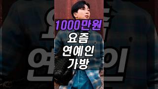 요즘 연예인들이 매는 1000만원대 명품 가방은 어디꺼?