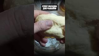 Супер НАСАДКА для Рыбалки! #рыбалка #шортс