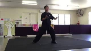 Tai Chi Demo - Long Version