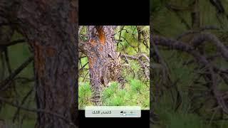 ٧ فبراير ٢٠٢٣(5)