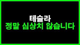 테슬라 정말 심상치 않습니다