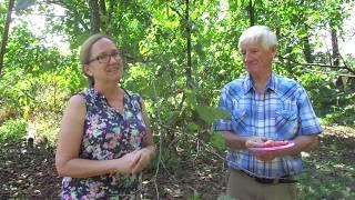 American Persimmons, with Eddie Rhoades