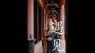 遇见每个人都是已经注定了#人生感悟#禅语录#禅悟人生