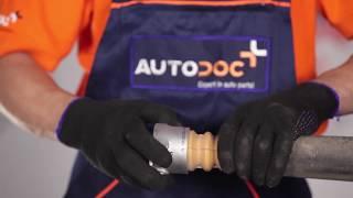 How to change strut mount FORD FIESTA V Van [TUTORIAL AUTODOC]