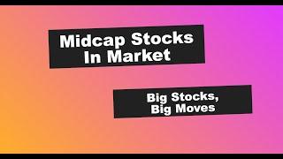 Midcap Stocks in Market, Indiamart Intermesh Share, Relaxo Footwears Share