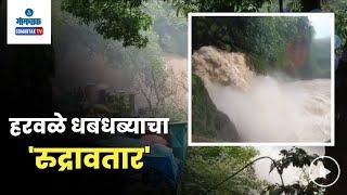 Harvalem Waterfall - हरवळे धबधब्याचा 'रुद्रावतार'... | Gomantak TV