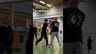 Jeet Kune Do | Attack By Combination #jkd #jeetkunedo #mitttraining