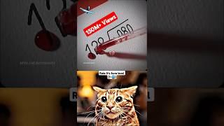 DAY-2 HIGHEST AURA LEVEL...  || OHIO CAT BOMBASTIC