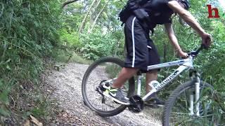 Tolle Mountainbike-Runde in Wien - Lainzer Tiergarten