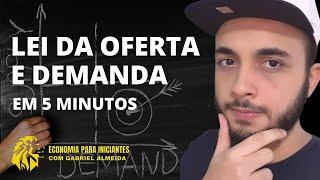 LEI DA OFERTA E DA DEMANDA EM MENOS DE 5 MINUTOS | MICROECONOMIA