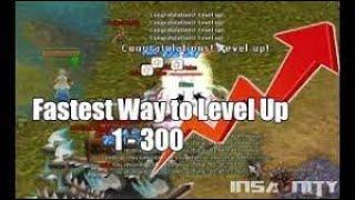 Insanity Flyff - Leveling 1-300 Easiest Guide (LIVE)