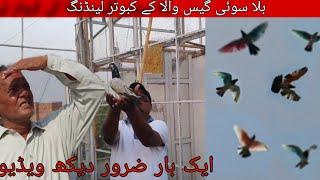 Bila sui gas wala ki bazi winn 47 garmi ak achi video zaror dekhy  video #kabootarbazi #youtube