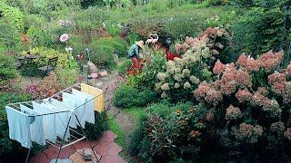 산골 시골집의 1년 사계~!! / 계절별 먹거리와 시골생활