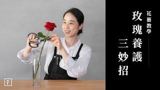 花藝新手注意！學會「玫瑰養護」讓花美得更久｜花藝教學｜花裡 FORi Flower