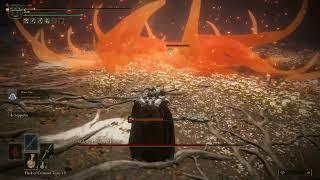 Elden Ring Quickie - Death By Sudoku