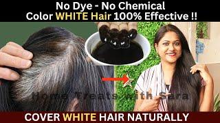 Natural Hairdye at Home Result for all | How to Color White Hair at Home Naturally