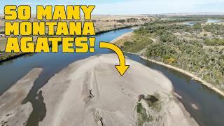 Hunting Montana Agates on a Yellowstone River Island