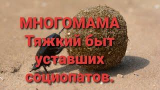 Многомама/Тяжкий быт уставших социопатов.