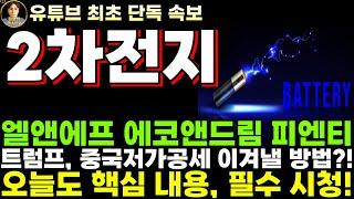 [엘앤에프 에코앤드림 피엔티 주가전망] 트럼프 2기 시대와 중국 저가 공세를 이겨낼 새로운 방법은?! 여전히 매수해야 하는 이유!