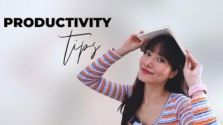 5 cách tăng hiệu quả học tập và làm việc | iammaitrang