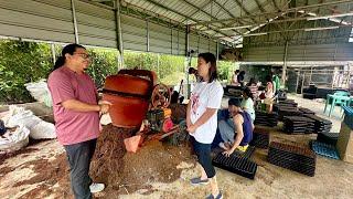 Pinaka Malaking VEGETABLES SEEDLING NURSERY: SIMPLE SET-UP pero Laging SOLD OUT!