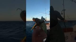 Fisherman Held by Ankles Over the Side to Save Monster Fish!! 