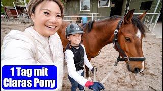 1 Tag auf dem Reiterhof  mit Claras Pony & vielen Pferden | Mamiseelen