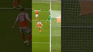 Is this a goal? #football#goal#inline