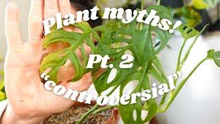 Plant "myths" pt. 2 | pruning, staking plants, green thumbs