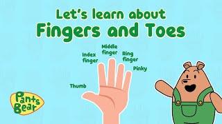 Finger Names in English | Fingers and Toes | Educational Video | Pants Bear Kids | Cartoons