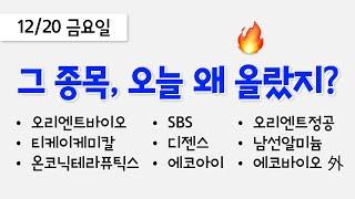 오늘 상한가, 급등 종목과 이유: 오리엔트바이오, SBS, 티케이케미칼, 디젠스, 온코닉테라퓨틱스, 오리엔트정공, 남선알미늄, 에코바이오, 에코아이