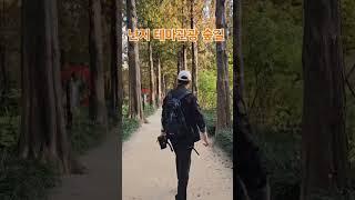 난지 테마관광 숲길 #여행 #난지 테마관광 숲길 #메타세쿼이아길 #소곤소곤길 #시인의거리