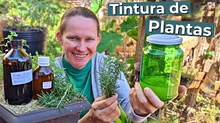 How to make Medicinal Plant Tincture Natural Health 